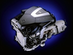 永和縣飼料昆蟲有限責(zé)任公司