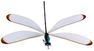 永和縣排灌機械有限責任公司