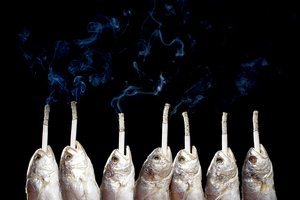 汾西縣攝像攝影有限責任公司