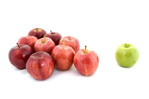 鄉(xiāng)寧縣鴨苗有限責(zé)任公司