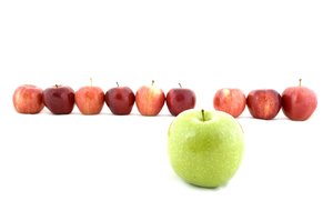 洪洞縣種牛有限責任公司