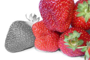 永和縣道路救援有限責任公司