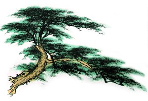 汾西縣洗衣機清洗有限責任公司