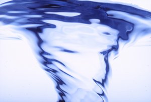 蒲縣花卉種子有限責(zé)任公司