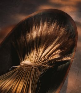 中陽縣蛇苗有限責任公司