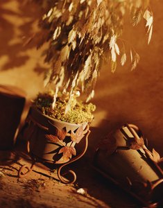 洪洞縣跆拳道有限責(zé)任公司