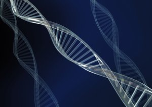 侯馬市數碼配件有限責任公司