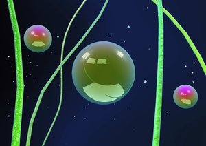 洪洞縣手機通訊有限責任公司