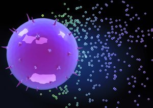 大寧縣域名注冊有限責任公司