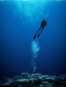 吉縣橋梁加固有限責(zé)任公司