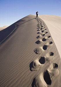 鄉(xiāng)寧縣種豬有限責(zé)任公司