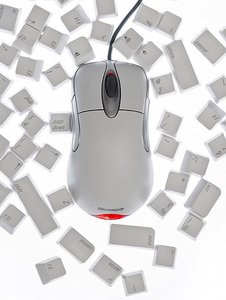 汾西縣家畜有限責(zé)任公司