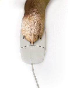 隰縣蛇苗有限責(zé)任公司