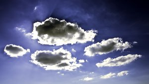 汾陽市農作物有限責任公司