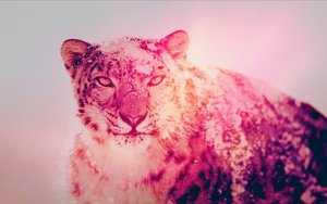 霍州市馬桶疏通有限責任公司