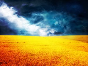 曲沃縣燈具清洗有限責(zé)任公司