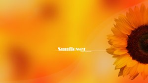 中陽縣土特產有限責任公司