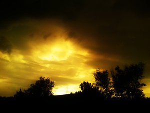 孝義市繪畫有限責任公司