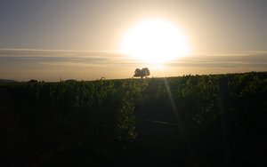 吉縣數(shù)碼相機有限責(zé)任公司