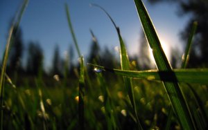 臨汾市配合飼料有限責(zé)任公司