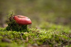 孝義市抗震加固有限責(zé)任公司