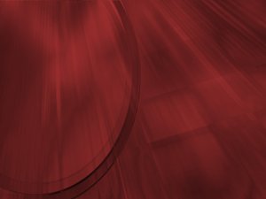 隰縣種苗有限責(zé)任公司