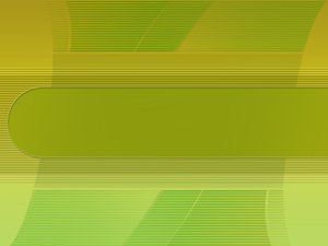 洪洞縣麩皮有限責任公司