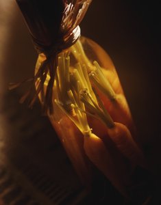 侯馬市種苗有限責任公司