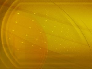 汾陽市飼料昆蟲有限責任公司