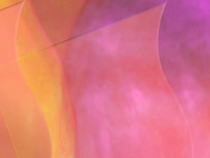 曲沃縣插花有限責任公司