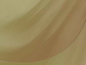 孝義市數(shù)碼配件有限責任公司