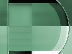 柳林縣魚苗有限責任公司