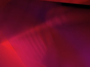 柳林縣皮革有限責任公司